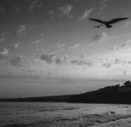 Tramore Black and White